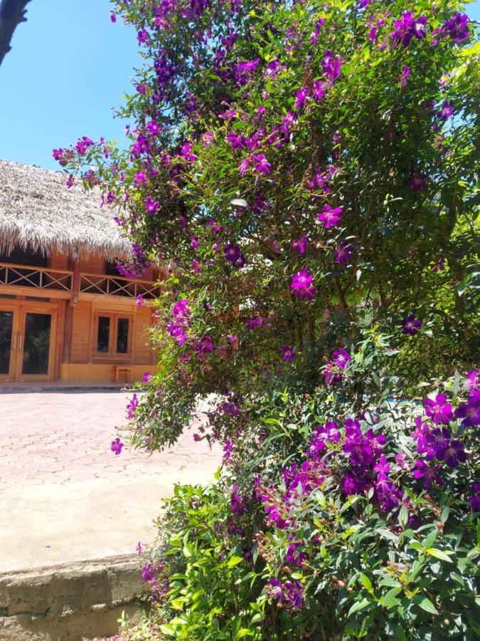 Flower Hmong Homestay バクハ エクステリア 写真