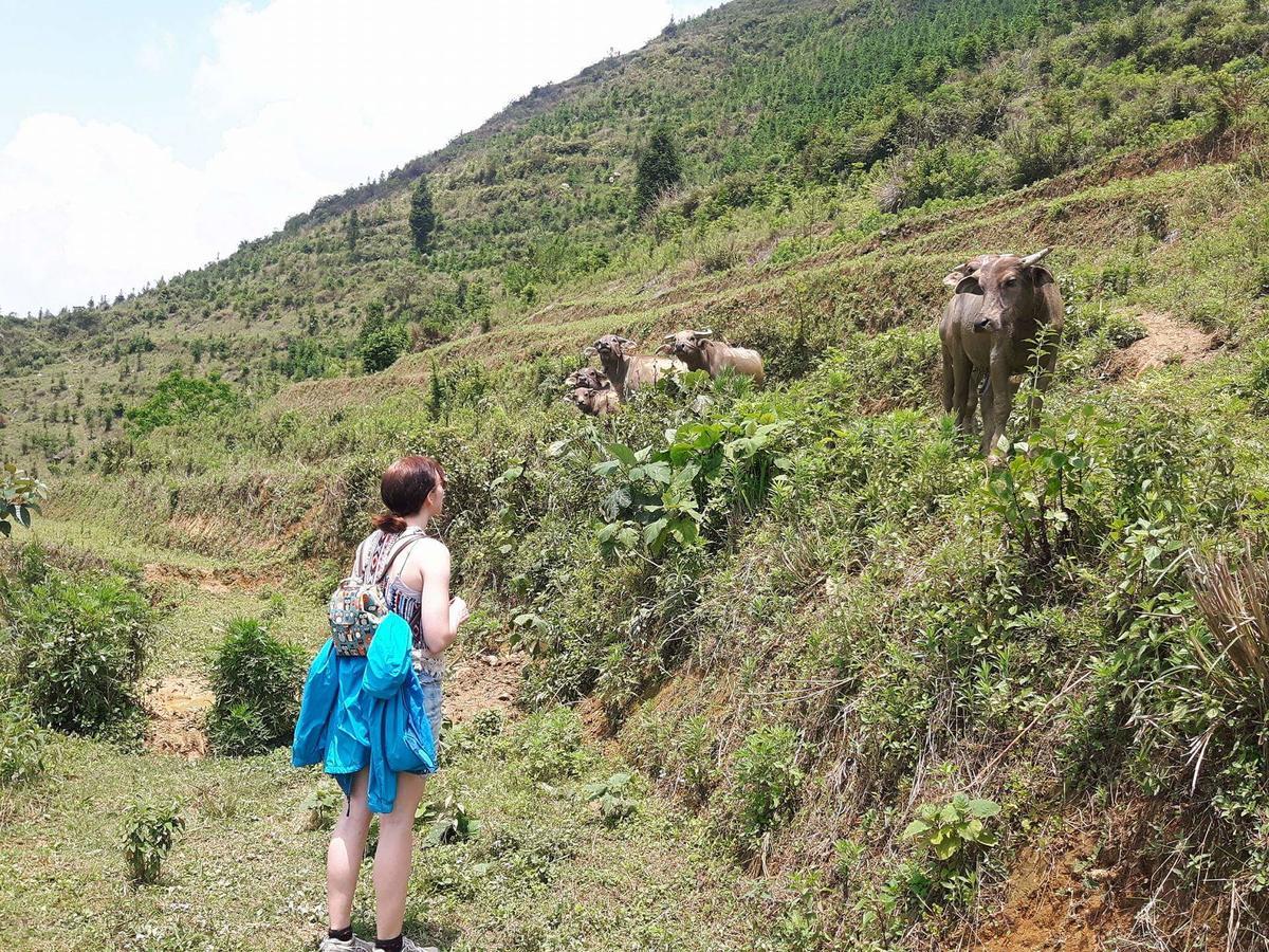 Flower Hmong Homestay バクハ エクステリア 写真