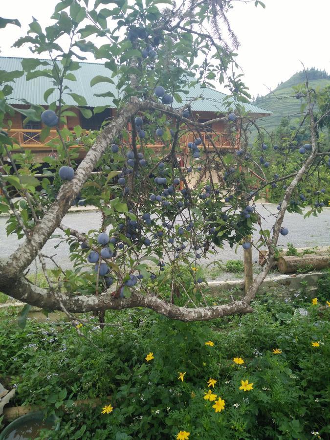 Flower Hmong Homestay バクハ エクステリア 写真