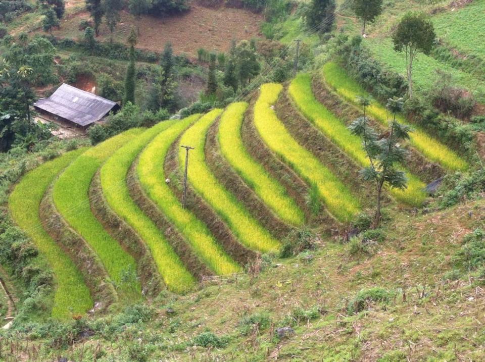 Flower Hmong Homestay バクハ エクステリア 写真