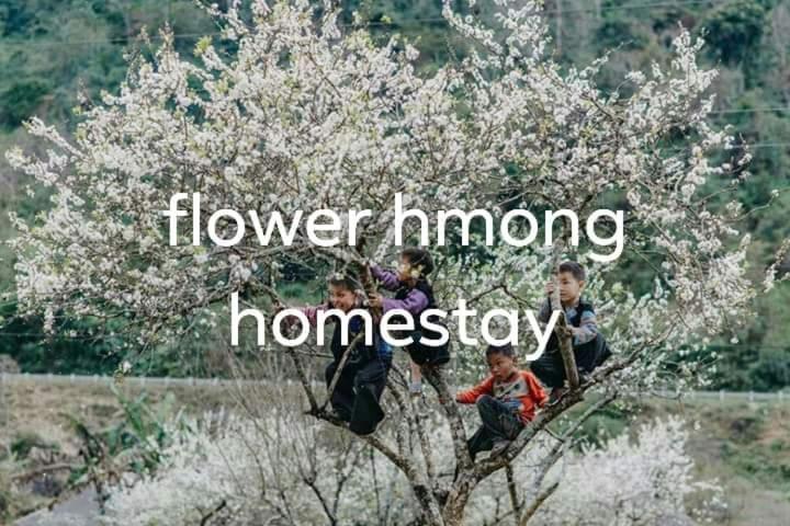 Flower Hmong Homestay バクハ エクステリア 写真