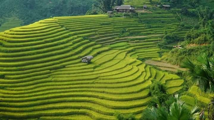 Flower Hmong Homestay バクハ エクステリア 写真